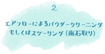 エアフローによるパウダークリーニングもしくはスケーリング(歯石取り)